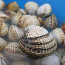 Kuidas tõsta karpide