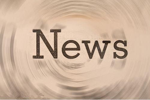 Peajalgse morfoloogia