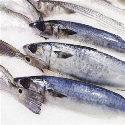 külmutatud, kiiresti külmutatud, toores külmutatud, keedetud külmutatud, mere...