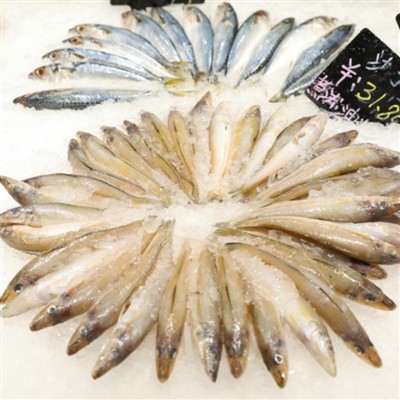 Kevadfestivalil on mereande rikkalikult