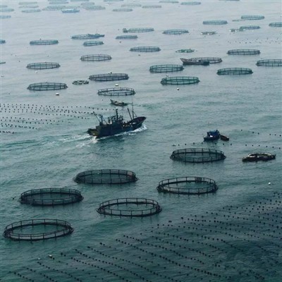 10 parimat mereande eksportivat riiki, mis ekspordib kõige rohkem mereande