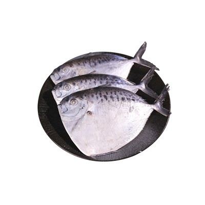 Külmutatud monokala