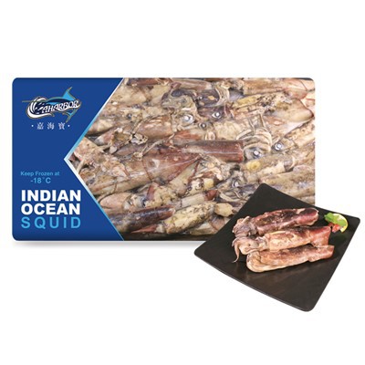 India ookeani kalmaar