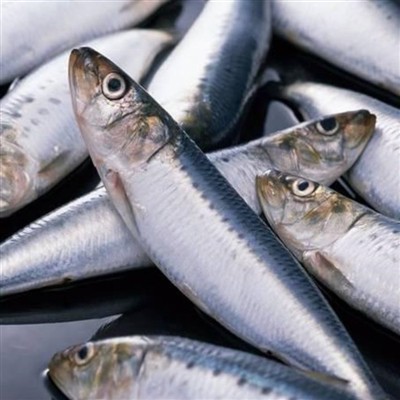 Vaadake, kuidas Hiina veetooted merest üle mere jõuavad