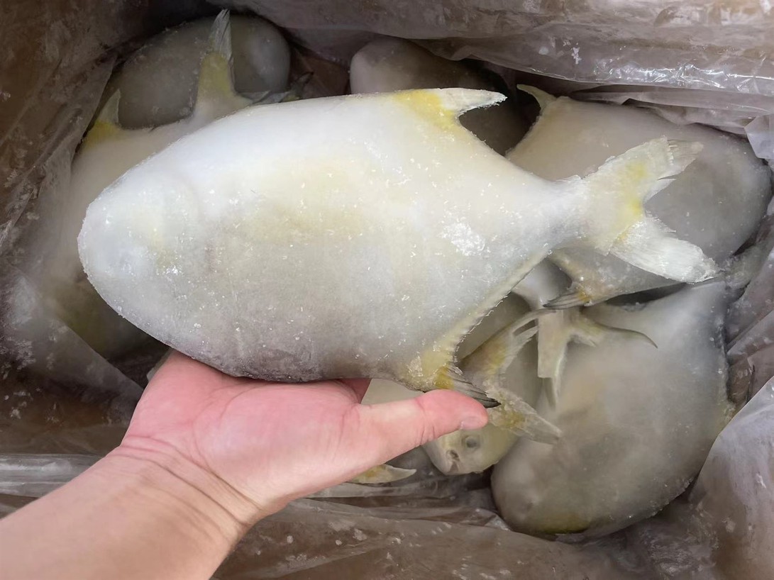 f04cc055e497cb34bb20d18dca768fb f04cc055e497cb34bb20d18dca768fb