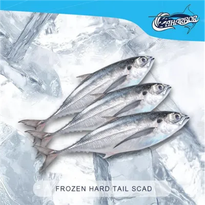 Külmutatud cordyla makrell